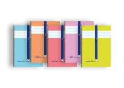 [8436609565343] BLOC FOLIO ERIGGAN CUADRO 4MM 80H TAPA CARTON SURTIDOS